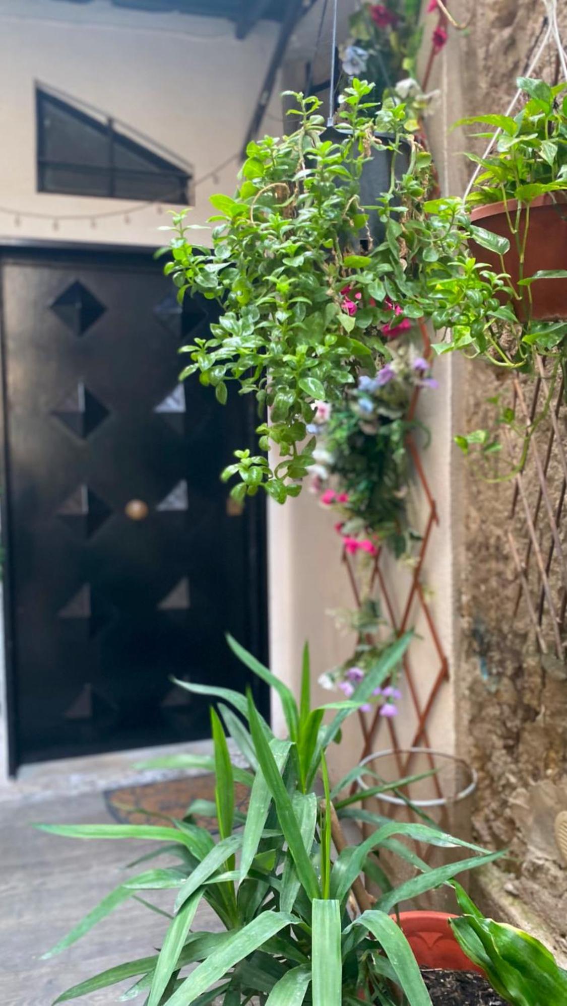 Il Vicoletto Hotell Neapel Exteriör bild
